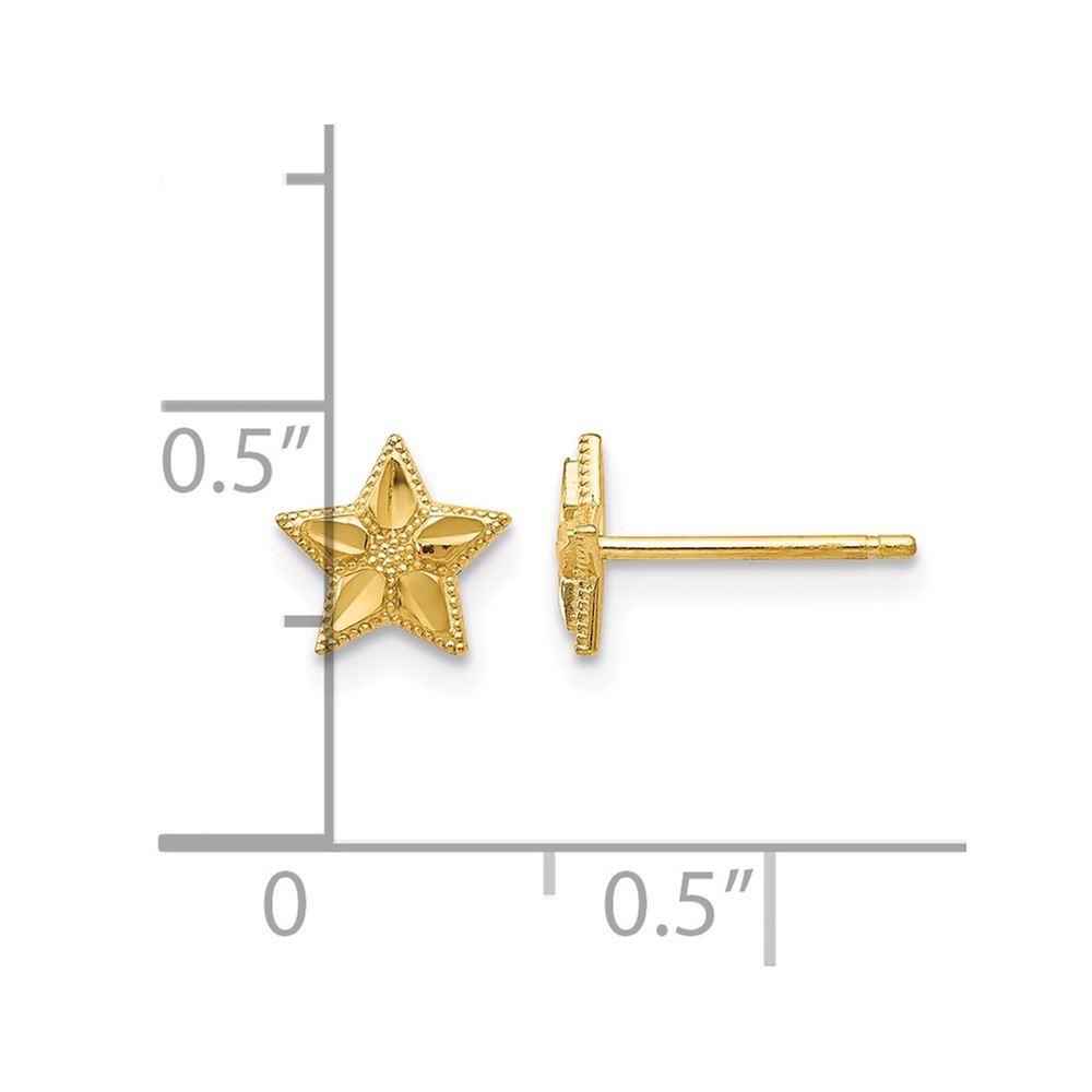 10k Polished & D/C Star Post Earrings (10TM782)