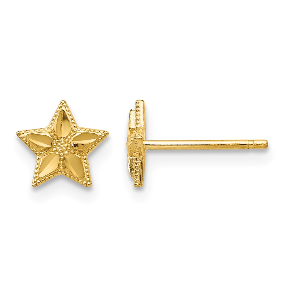 10k Polished & D/C Star Post Earrings (10TM782)