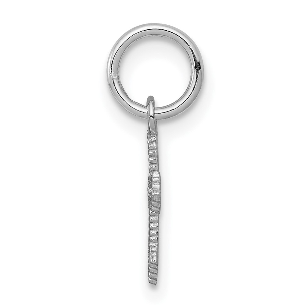 10K White Gold Passion Cross Charm (10WC44)