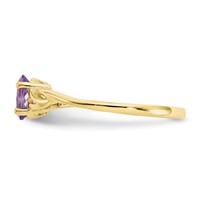 10K Yellow Gold Polished 6x 4mm Oval Genuine February Amethyst Birthstone Ring view 3