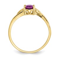 10K Yellow Gold Polished 6x 4mm Oval Genuine June Rhodolite Garnet Birthstone Ring view 2