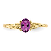 10K Yellow Gold Polished 6x 4mm Oval Genuine June Rhodolite Garnet Birthstone Ring view 4