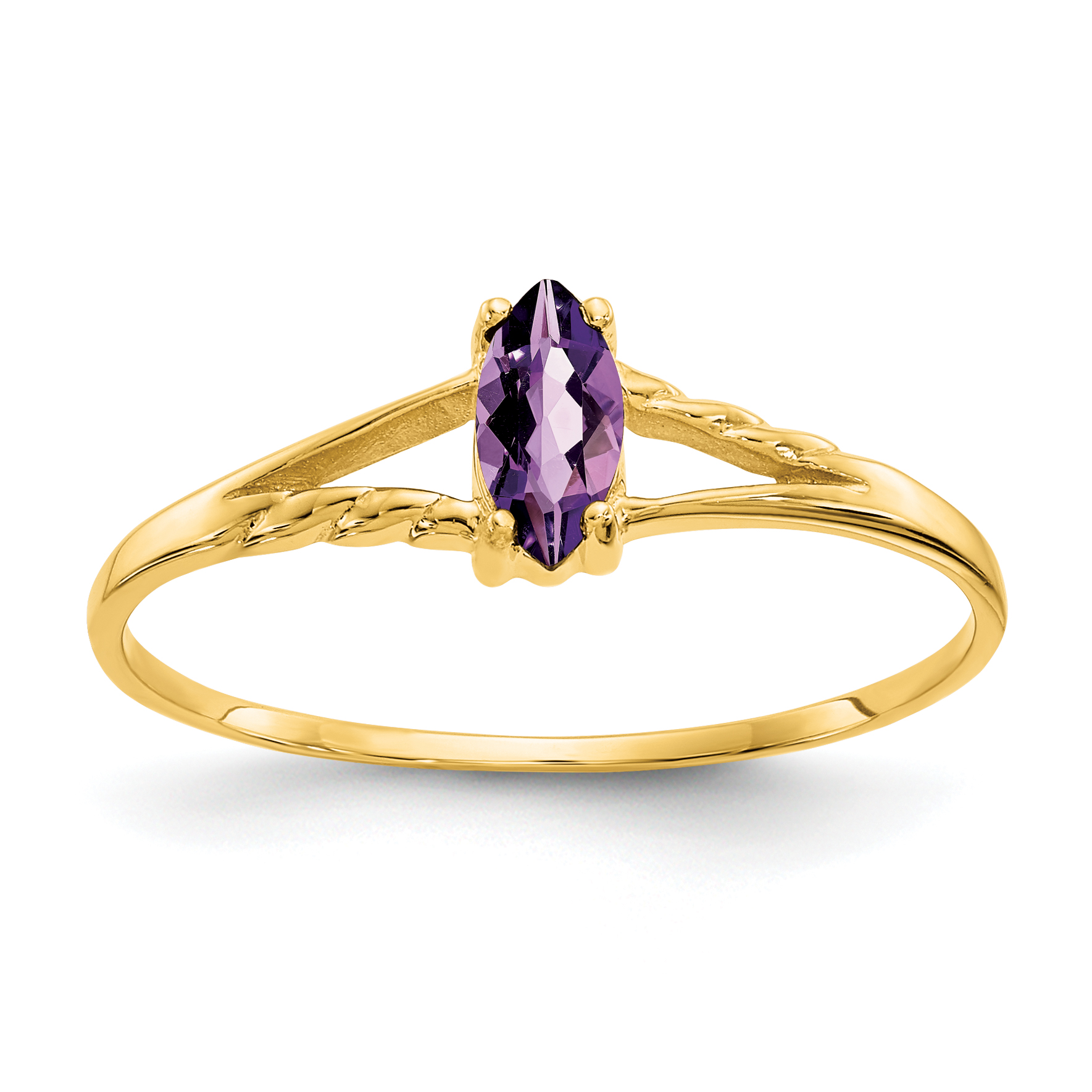 10k Polished Genuine Amethyst Birthstone Ring (10XBR179)