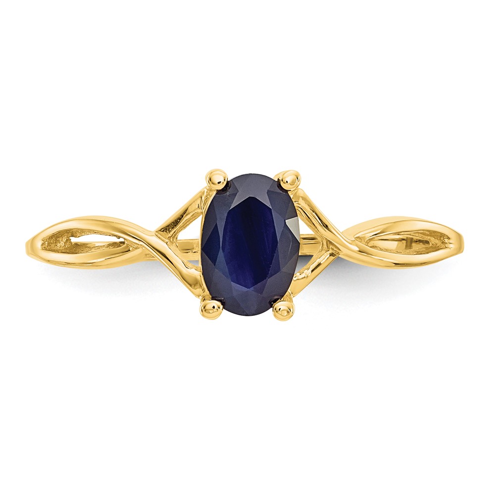 10k Polished Genuine Sapphire Birthstone Ring (10XBR234)