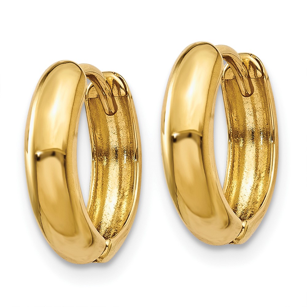 10k Polished Hinged Hoop Earrings (10Y7916)