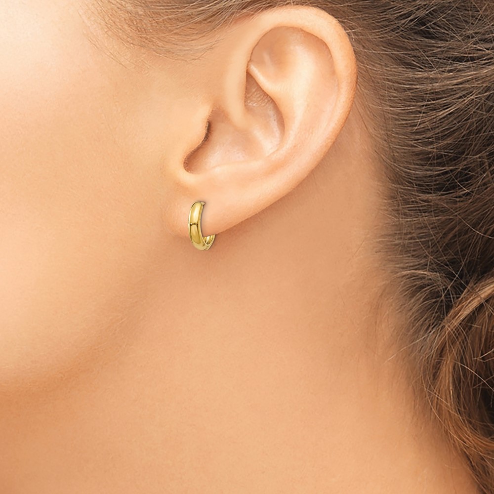 10k Polished Hinged Hoop Earrings (10Y7916)