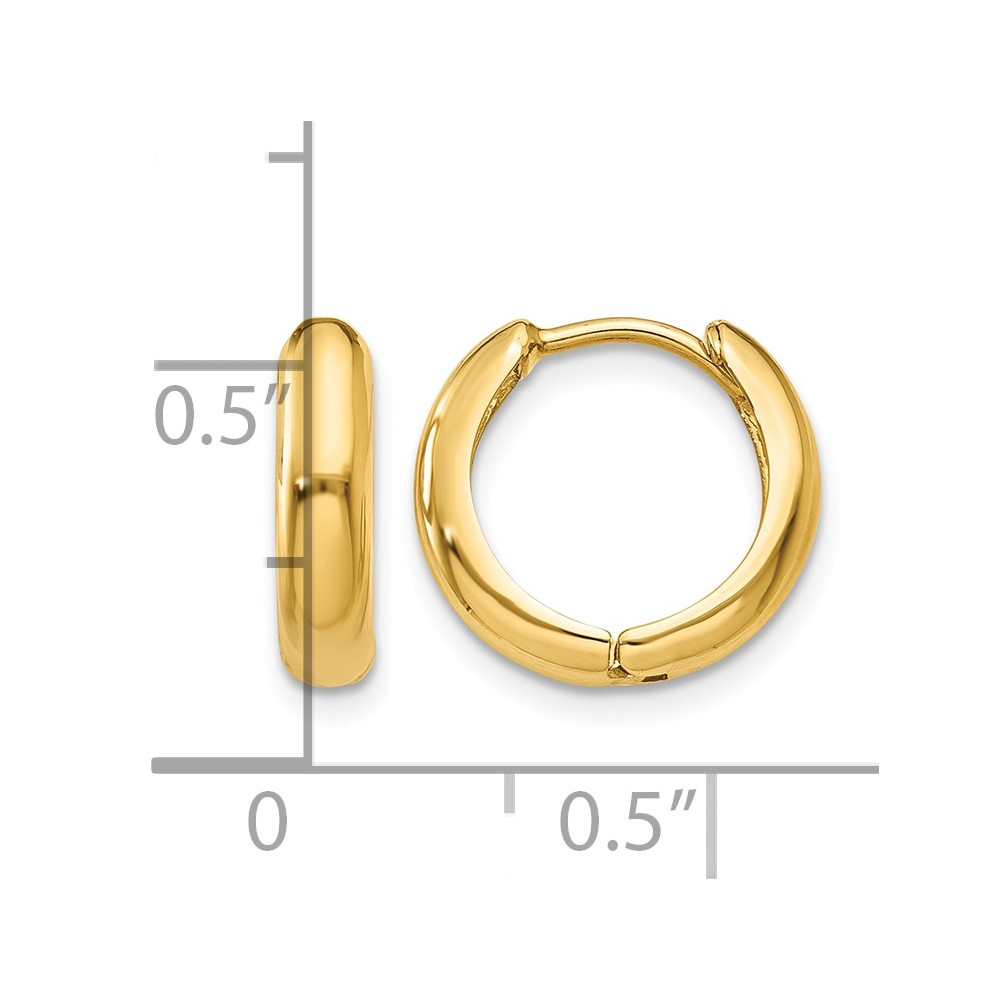 10k Polished Hinged Hoop Earrings (10Y7916)