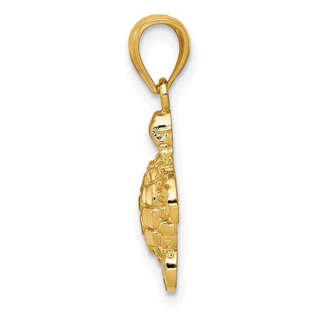 10k Gold Polished & Textured Small DC Turtle Pendant (10YC1246)