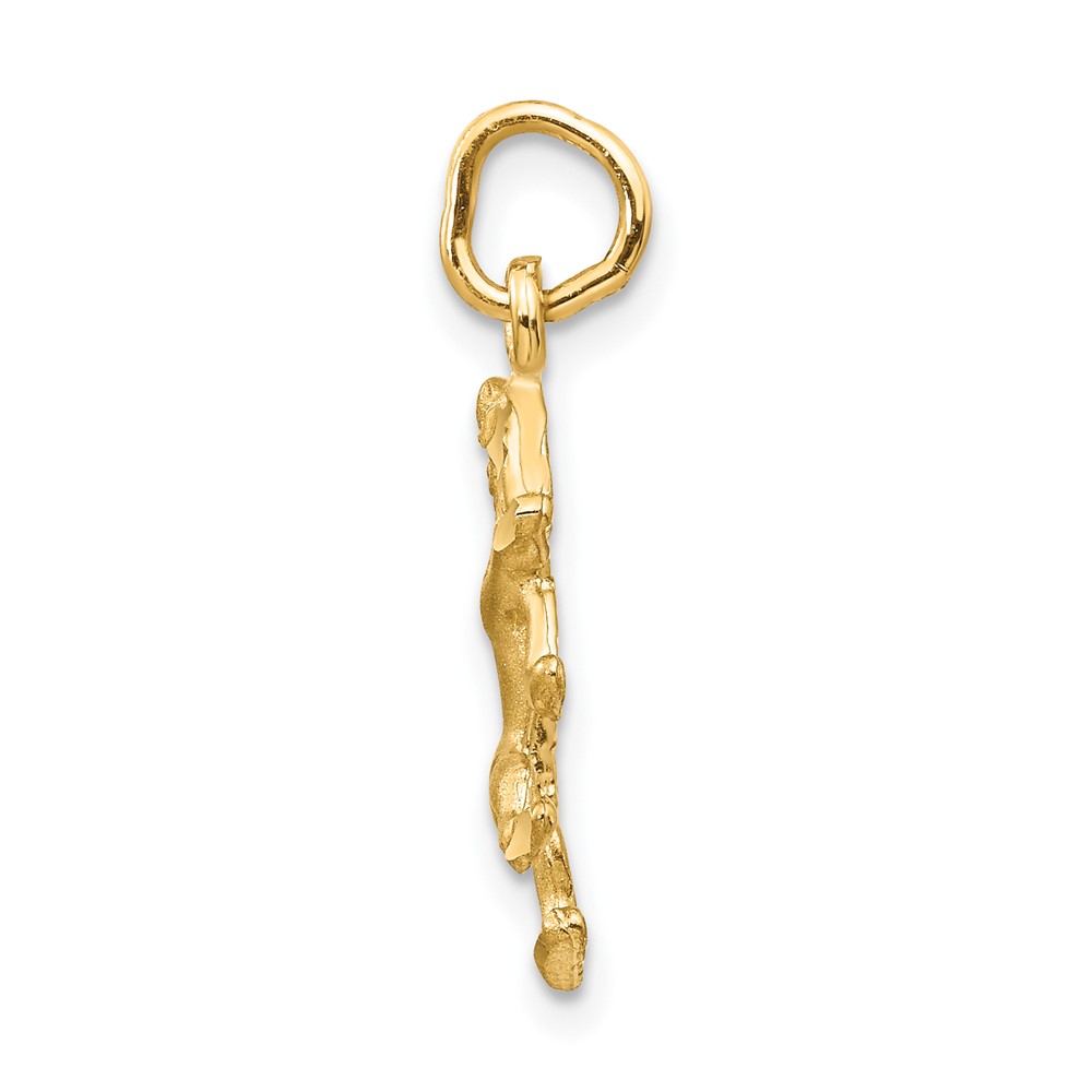 10k Leo Zodiac Charm (10ZC480)