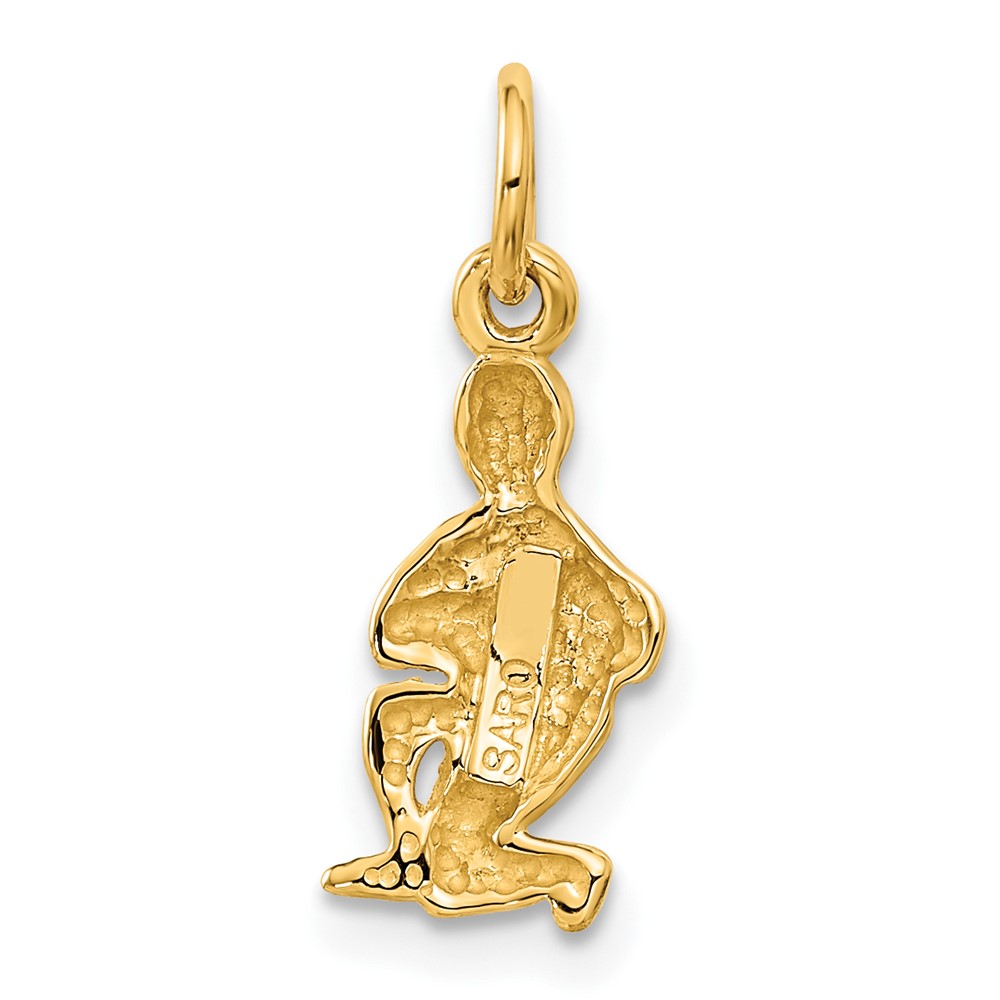 10k Aquarius Zodiac Charm (10ZC486)