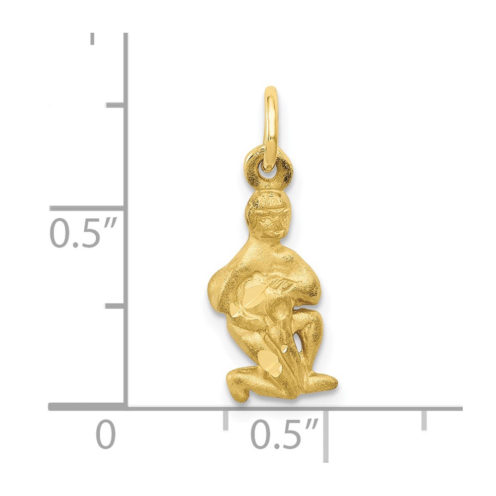 10k Aquarius Zodiac Charm (10ZC486)