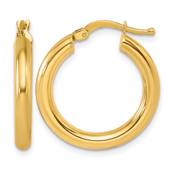 Herco Gold Polished 3.00mm Hoop Earrings