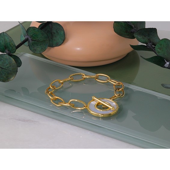 Herco 14K Polished Mother of Pearl Disc Oval Link Toggle Bracelet