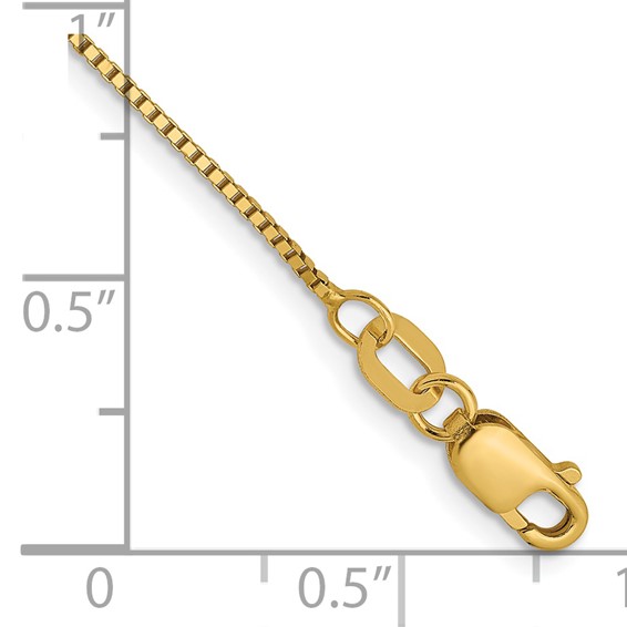 Leslie's 14K .7mm Box with Lobster Clasp Chain Anklet