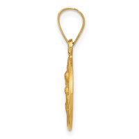 18K Yellow Gold Polished and Satin Solid Our Lady of Perpetual Help Medal Round Pendant view 2