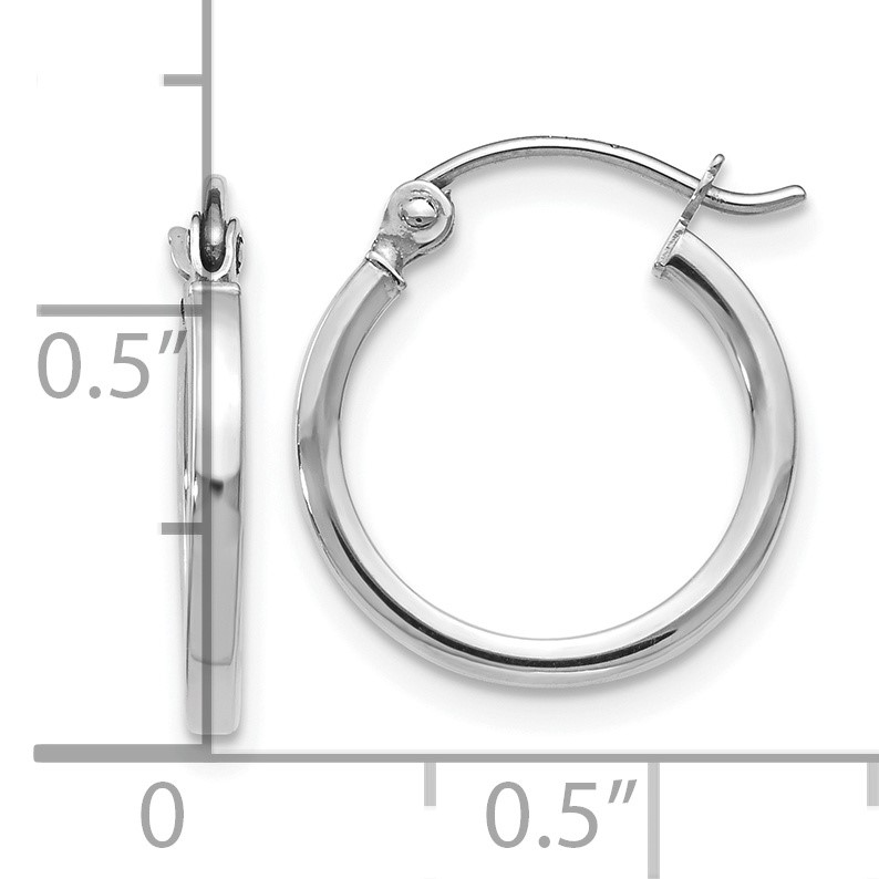 Polished Gold Hoop Earrings