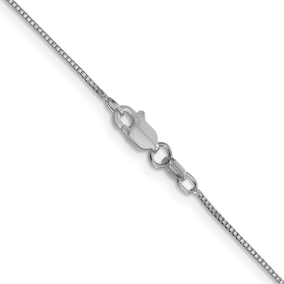 Leslie's 14K White Gold .7mm Box with Lobster Clasp Chain