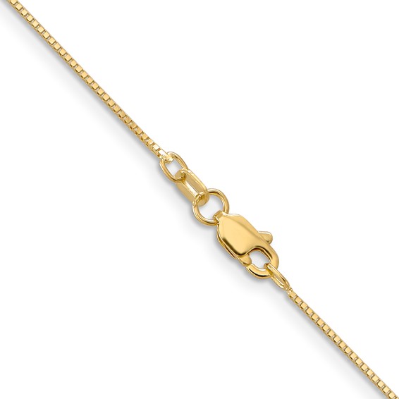 Leslie's 14K .8mm Box with Lobster Clasp Chain