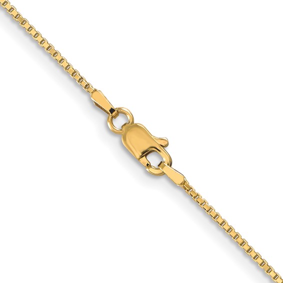 Leslie's 10K 1mm Box Chain