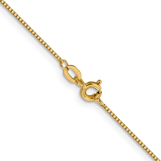 Leslie's 14K .8mm Box with Spring Ring Clasp Chain