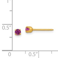 Inverness 24K Gold-plated 3mm February Purple Crystal Birthstone Post Piercing Earrings view 4