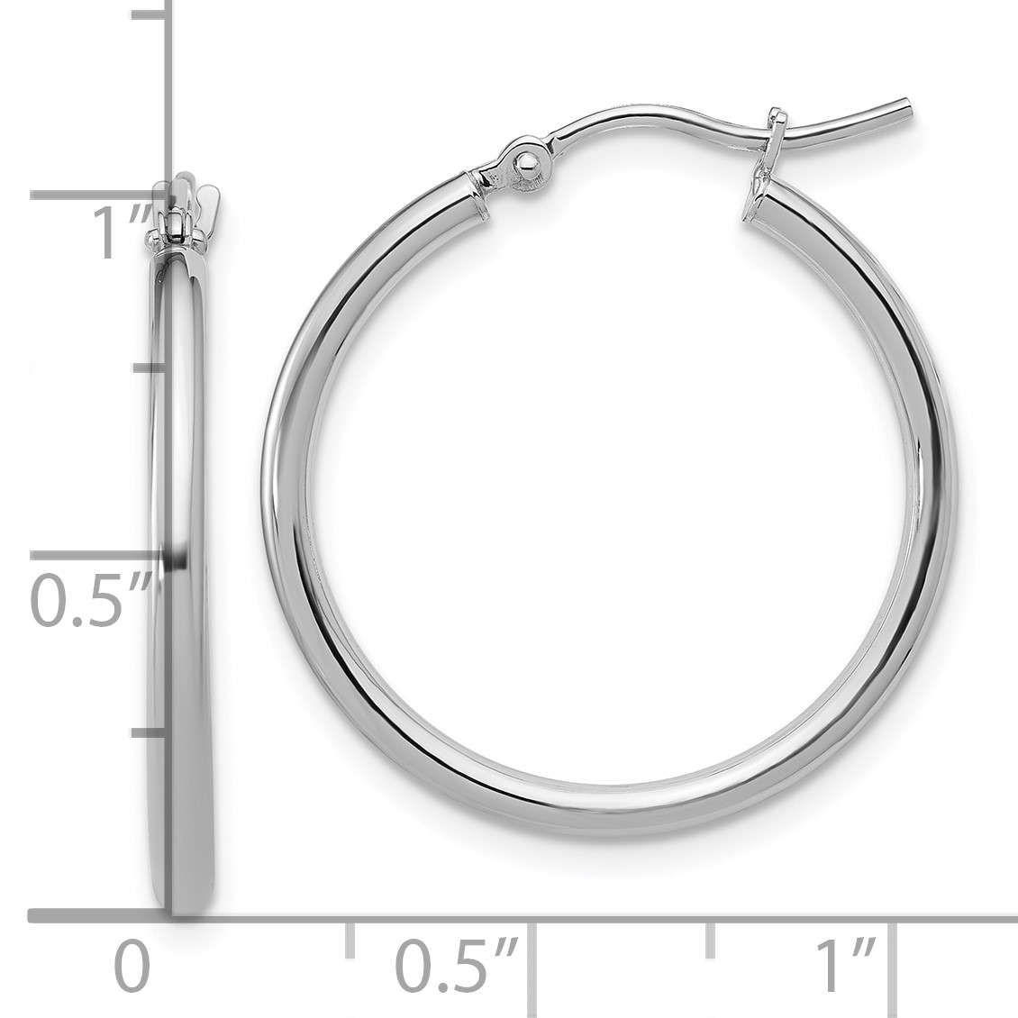 Polished Gold Hoop Earrings
