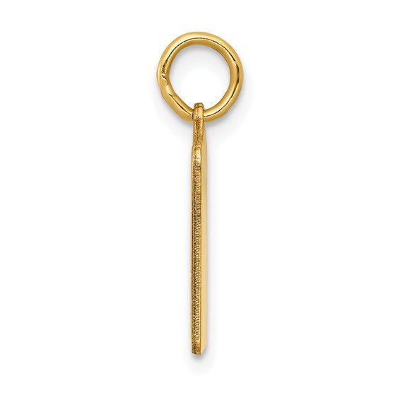 Gold Polished Birth Certificate Pendants