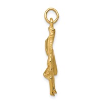 14K Yellow Gold Matador Charm view 2