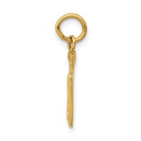 14K RN Registered Nurse Charm view 2