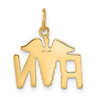 14K RN Registered Nurse Charm view 3