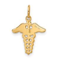14K Yellow Gold Caduceus Charm view 3