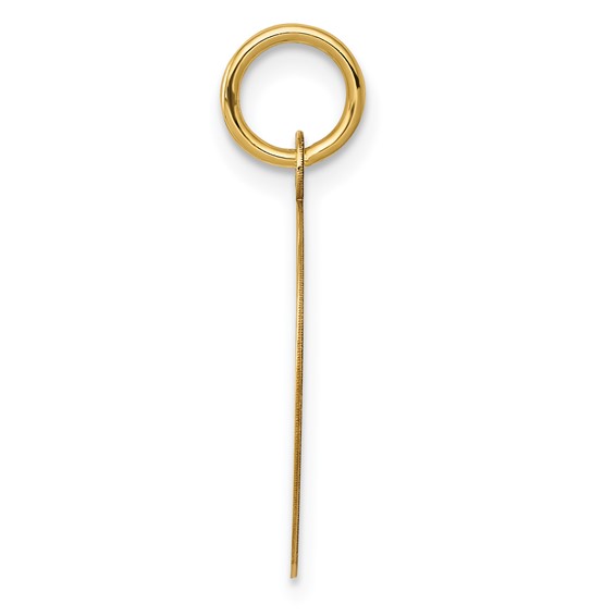 Gold Record Album Charm