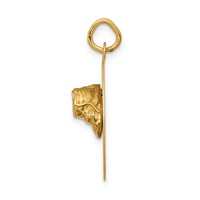 14K Yellow Gold Small Solid Engravable Baby Shoes on 19mm Disc Charm view 2