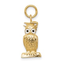 14K Yellow Gold Enameled Graduation Owl Charm view 1