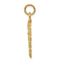 14K Yellow Gold Nurse Symbol Charm view 2