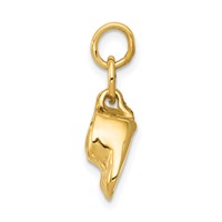 14K Yellow Gold 3-D Moveable Polished Baby Shoes Charm view 2