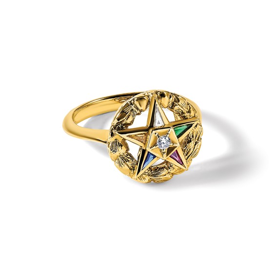IBGoodman 14k Women's Polished and Textured Eastern Star Masonic Ring Mounting