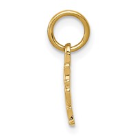 14K Yellow Gold Together Forever Charm view 2