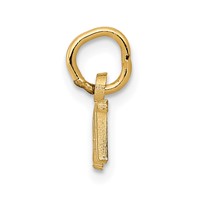 14K Yellow Gold Polished Brat Charm view 2