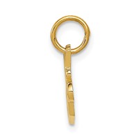 14K Yellow Gold Special Sister Charm view 2
