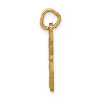 14K Yellow Gold Good Luck Symbol Charm view 2