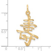 14K Long Life Symbol Charm view 4