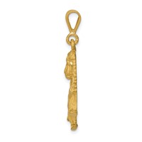 14K Yellow Gold Brushed Diamond-cut Lion Charm view 2