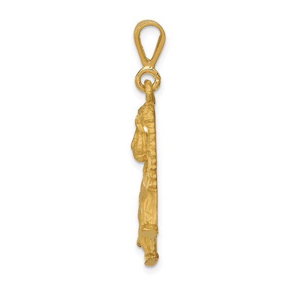 14k Brushed Diamond-cut Lion Charm