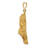 14K Yellow Gold Large Satin Diamond-cut Tiger Head Pendant view 2