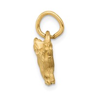 14K Yellow Gold Satin Diamond-cut Pig Charm view 2
