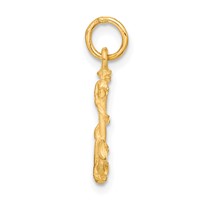 14K Yellow Gold 3-D Satin Diamond-cut Anchor Charm with Rope view 2