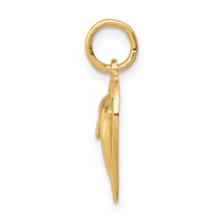 14K Dolphin in Heart Charm view 2