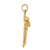 14K Yellow Gold Large Polished and Satin Dolphin on Anchor Charm view 2