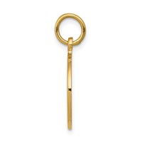 14K Yellow Gold Satin and Polished Communion Round Disc Charm view 2
